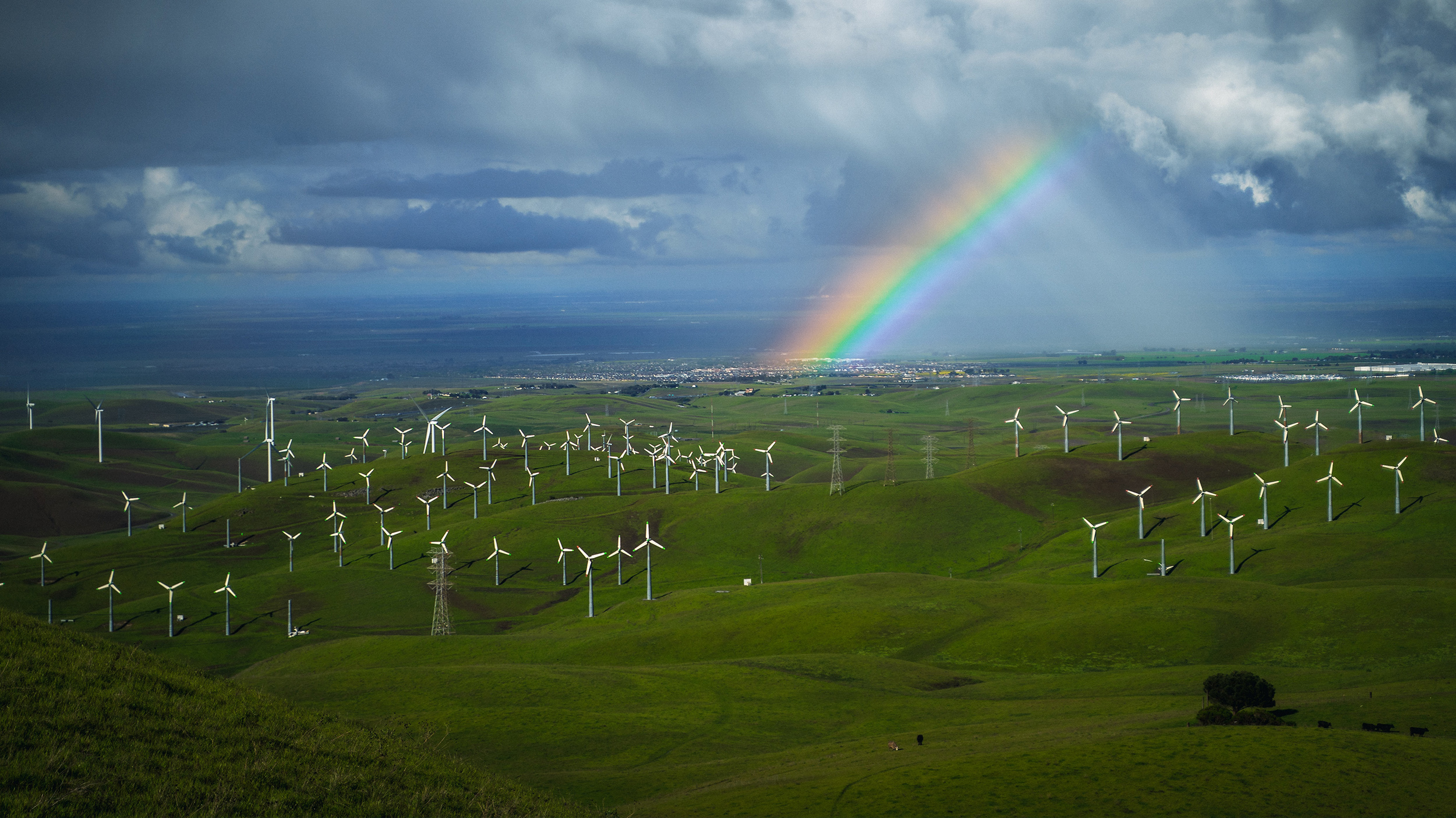 A rainbow over wind turbines.